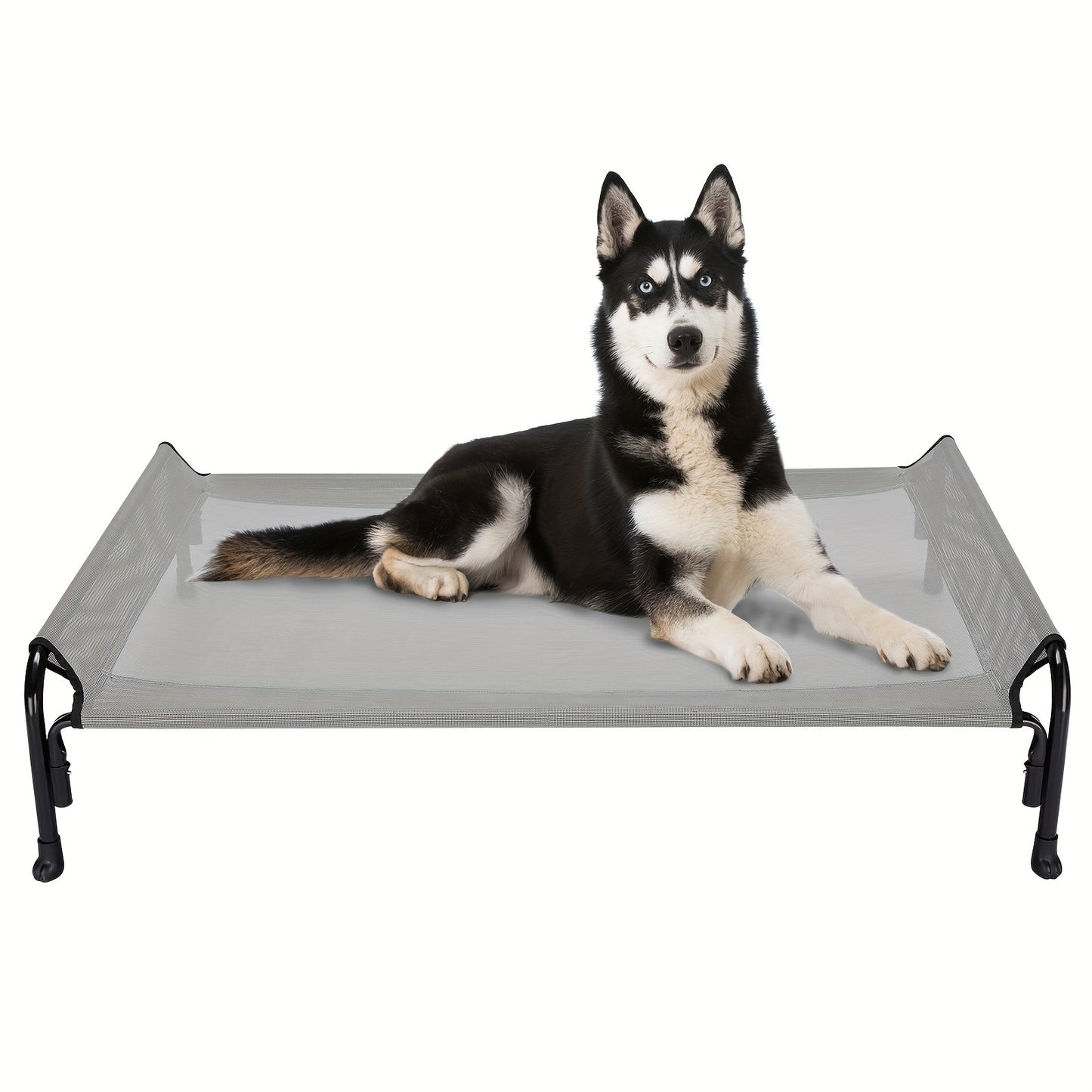 Elevated Dog Bed, Suitable For Large Dogs
