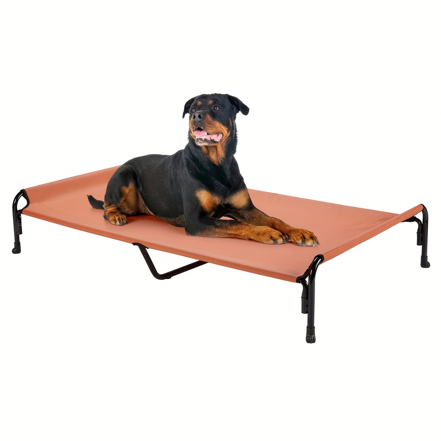 Elevated Dog Bed, Suitable For Large Dogs
