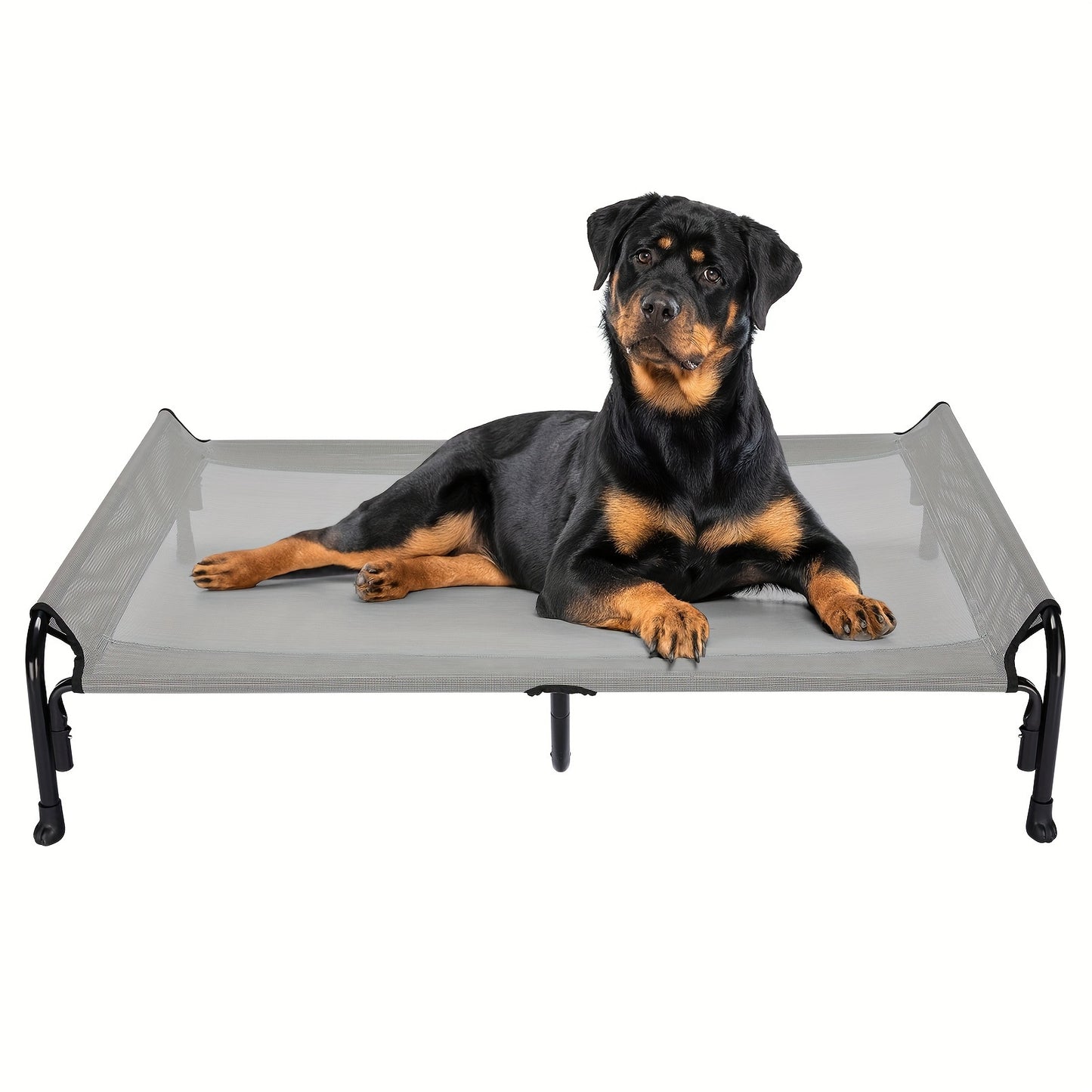 Elevated Dog Bed, Suitable For Large Dogs