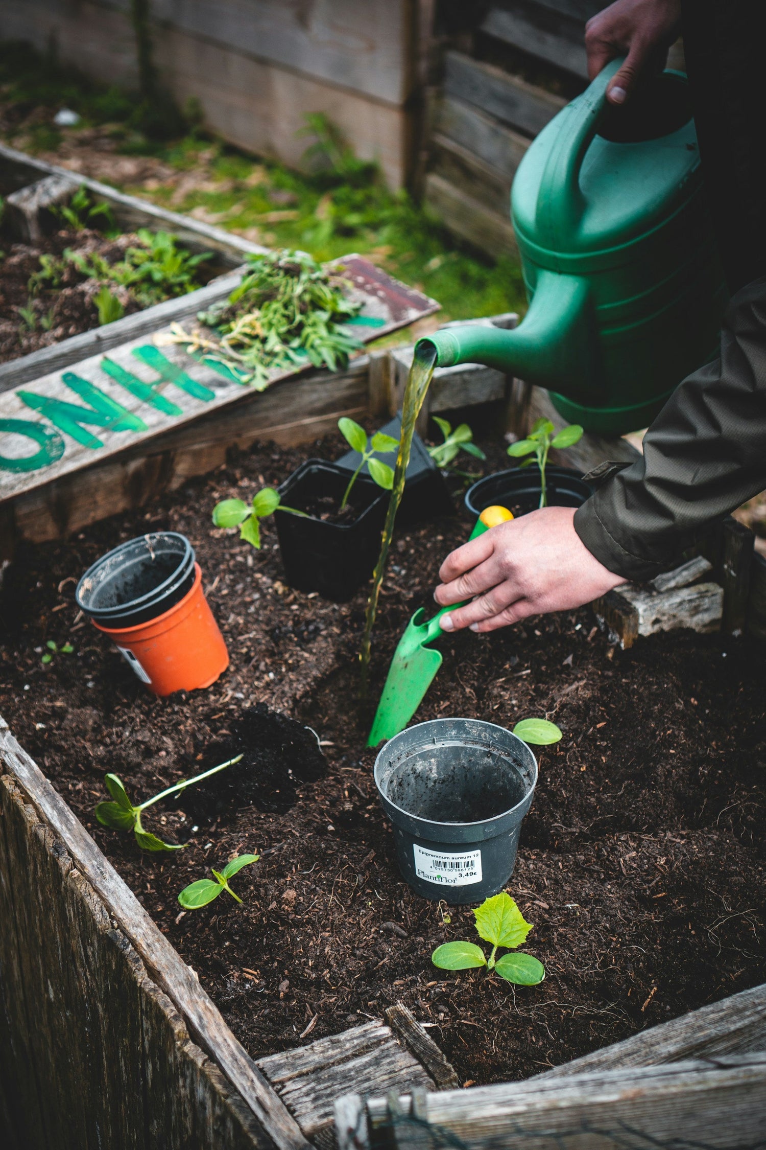 Gardening