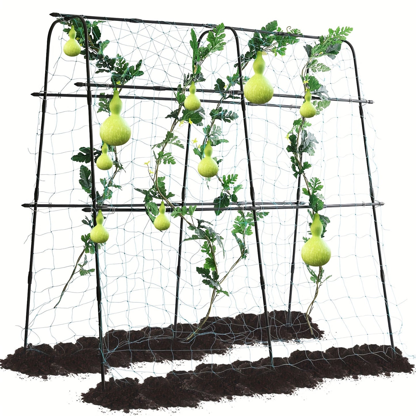 5 x 5 x 2 ft Garden Cucumber Trellis for Climbing Plants