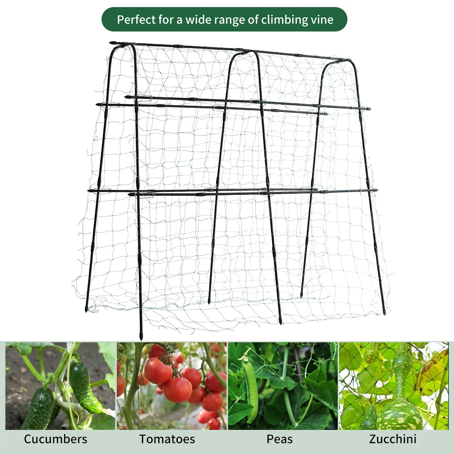 5 x 5 x 2 ft Garden Cucumber Trellis for Climbing Plants