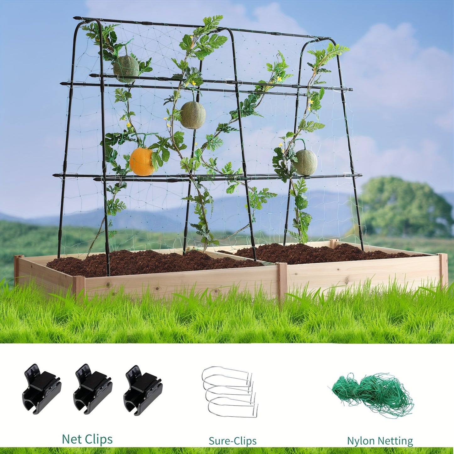 5 x 5 x 2 ft Garden Cucumber Trellis for Climbing Plants