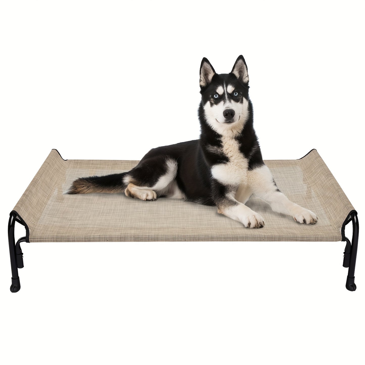 Elevated Dog Bed, Suitable For Large Dogs