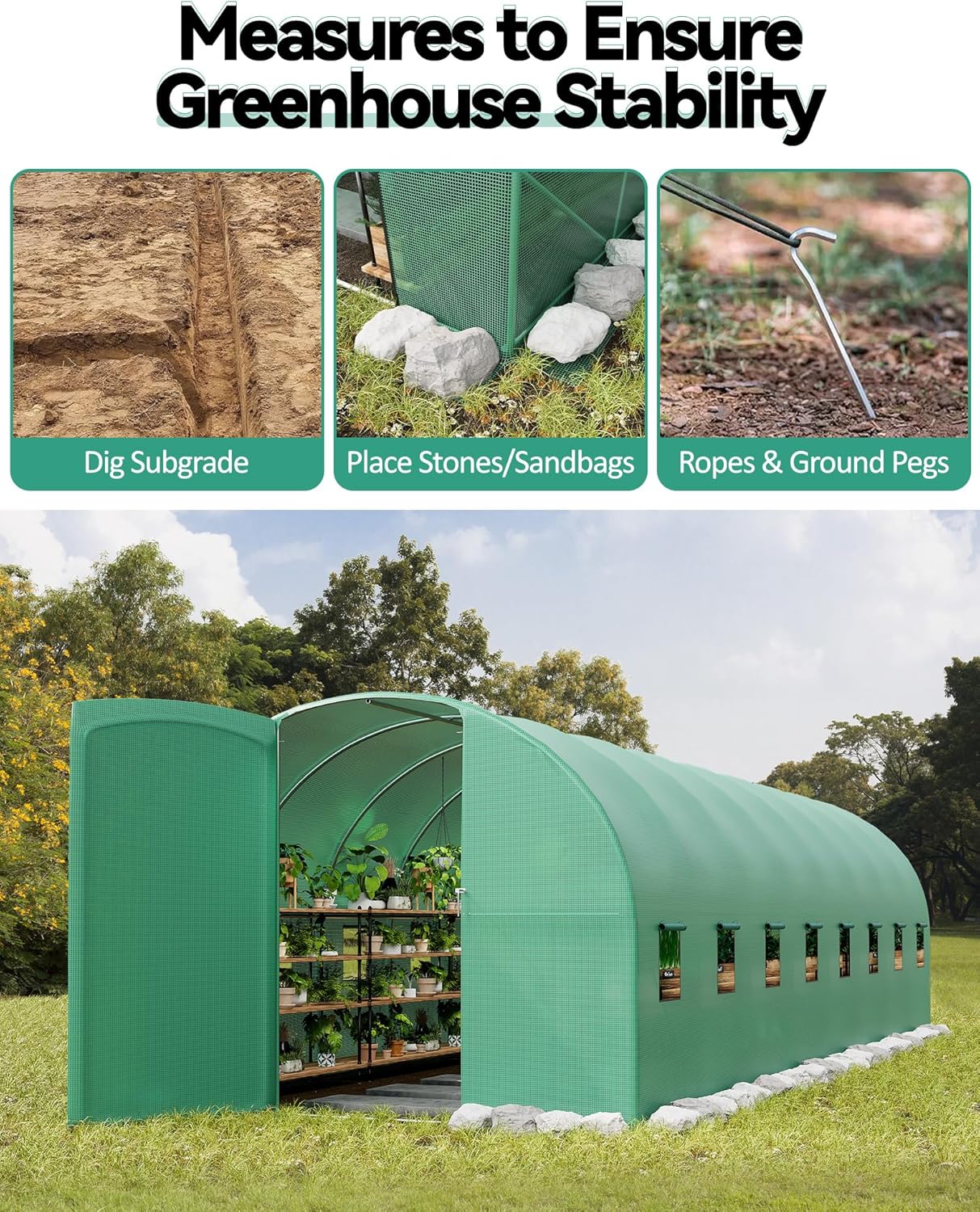 Large green greenhouse wall with mesh windows, swing door, galvanized steel frame, and durable PE cover for outdoor garden use.