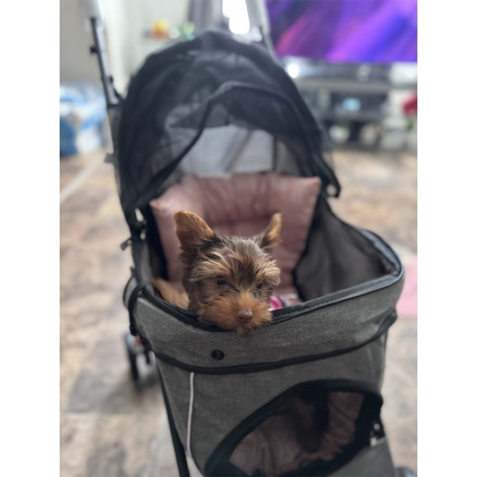 Pet Stroller for Small Dogs Cats, Up to 33 LBS with Storage Basket & Cup Holder, Dark gray