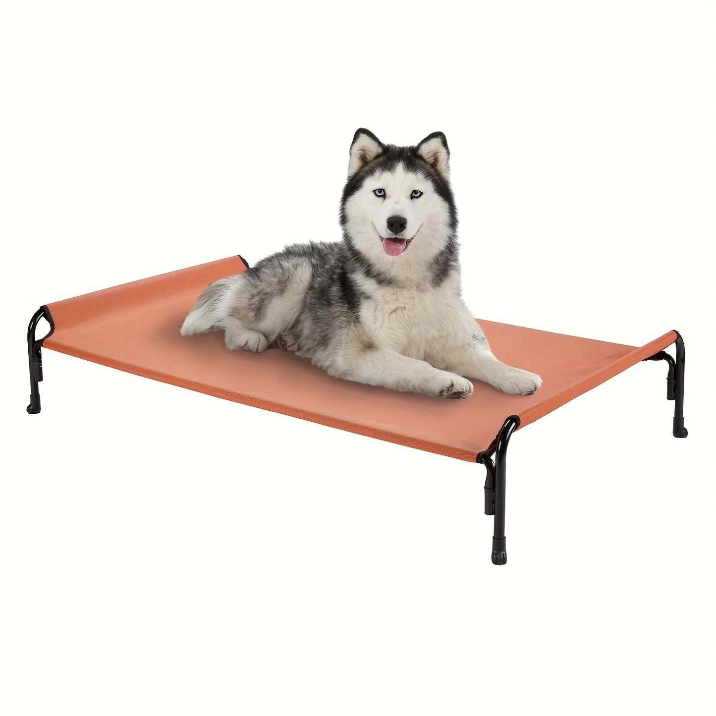 Elevated Dog Bed, Suitable For Large Dogs
