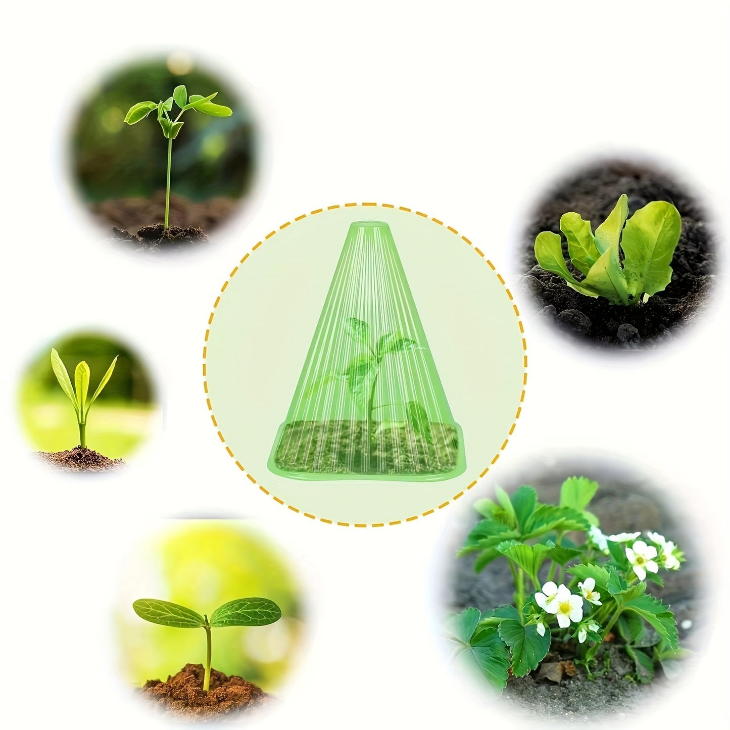 30PCS Plant Garden Insect Protection Cover, Reusable Snail Protection Cove